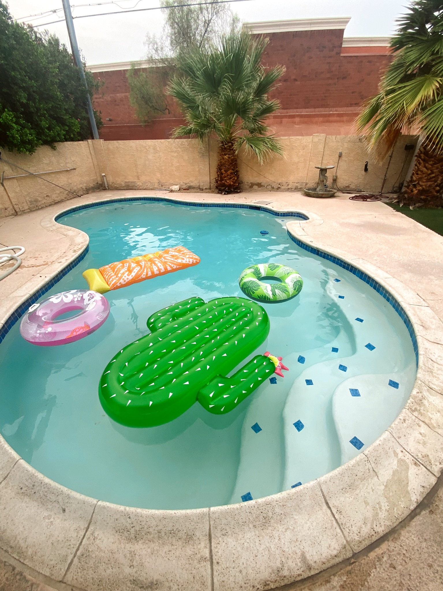 Plan the ultimate Arizona bachelorette itinerary with this stylish guide to Scottsdale, Sedona, and Phoenix—featuring where to stay, what to do, outfits, nightlife, and a perfect 3-day plan. Arizona Bachelorette Party Itinerary, Bachelorette Itinerary Arizona, Arizona Bachelorette Trip, Arizona Bachelorette Party, Arizona Bachelorette Bride Outfits, Bachelorette Scottsdale Itinerary, Bachelorette Scottsdale Arizona, Bachelorette Phoenix Az, Sedona Arizona Bachelorette Party, Bachelorette In Sedona Plan the ultimate Arizona bachelorette itinerary with this stylish guide to Scottsdale, Sedona, and Phoenix—featuring where to stay, what to do, outfits, nightlife, and a perfect 3-day plan.Arizona Bachelorette Party Itinerary, Bachelorette Itinerary Arizona, Arizona Bachelorette Trip, Arizona Bachelorette Party, Arizona Bachelorette Bride Outfits, Bachelorette Scottsdale Itinerary, Bachelorette Scottsdale Arizona, Bachelorette Phoenix Az, Sedona Arizona Bachelorette Party, Bachelorette In Sedona
